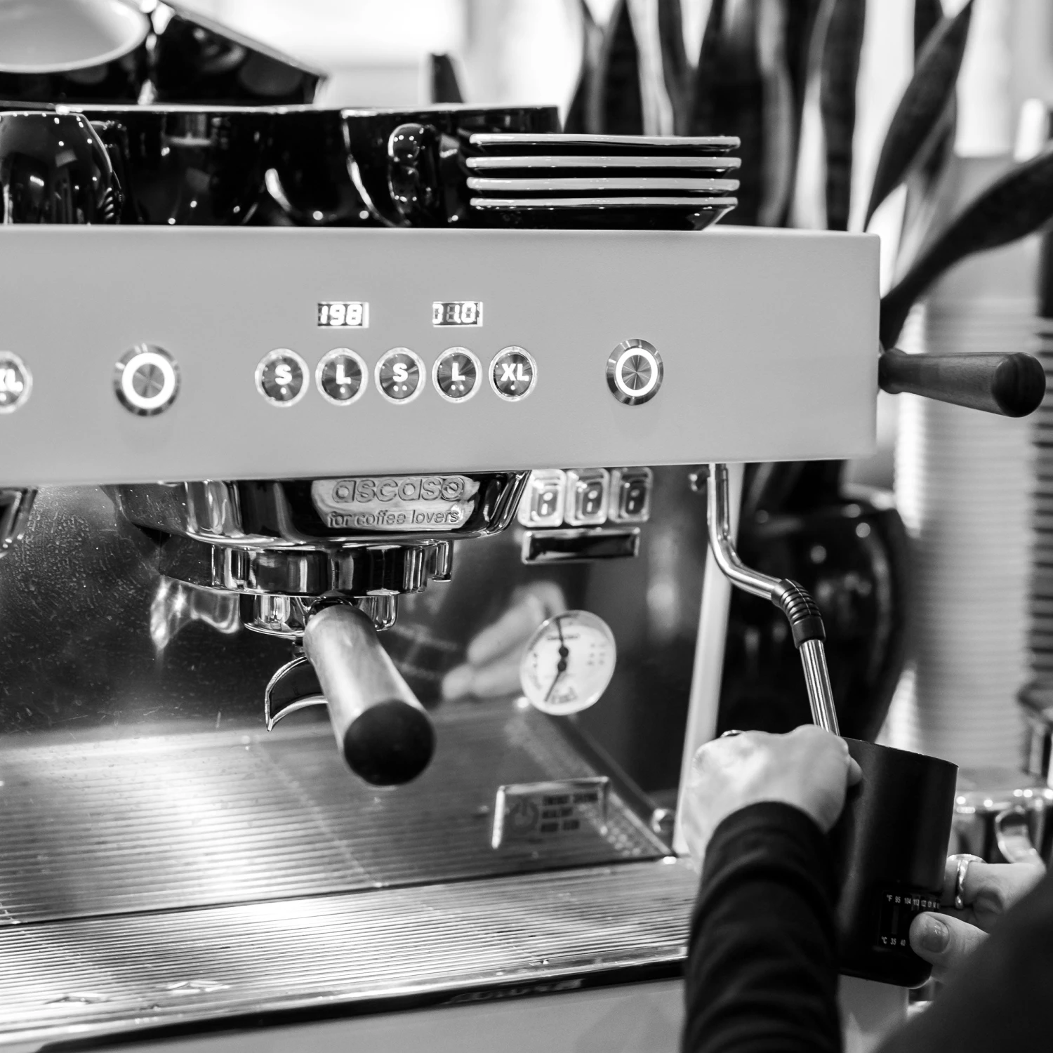 Ascaso Barista T Plus, Automatic 3 Group Espresso Machine, With Thermodynamic Technology (Inox) 6 Ascaso Barista T Plus, Automatic 3 Group Espresso Machine, With Thermodynamic Technology (Inox) - Image 4